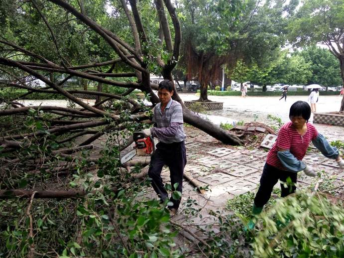 说明: F:\Users\Administrator\Desktop\台风\1.jpg